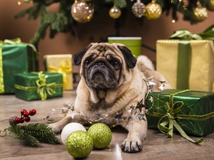 gifts, christmas, pug, baubles, dog