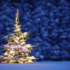 christmas tree, snow, christmas, light