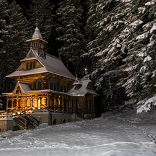 Spruces, winter, Chapel of the Sacred Heart of Jesus, illuminated, traces, Poland, Zakopane, Night, snow, Jaszczurowka, church