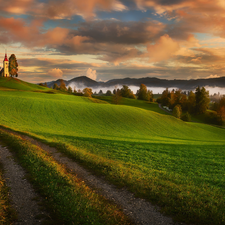 trees, viewes, Slovenia, Fog, Spring, Way, field, Church