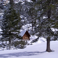 winter, wooden, church, forest