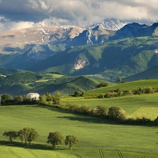 trees, field, clouds, house, viewes, Mountains