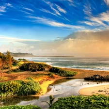 viewes, sea, clouds, inflow, Sky, trees