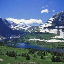 Mountains, Spruces, clouds, River