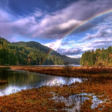 clouds, Great Rainbows, marshland, woods, River