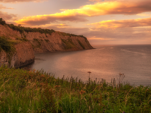 Meadow, clouds, rocks, cliff, sea
