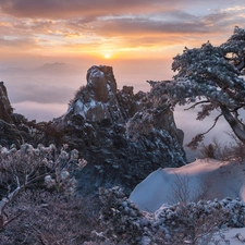 clouds, winter, snow, Mountains, pine, Sunrise, rocks, dawn, Fog