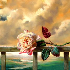 rose, clouds