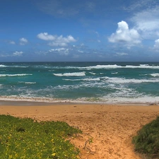 sea, Waves, clouds, Beaches