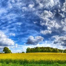 clouds, Field, Sky