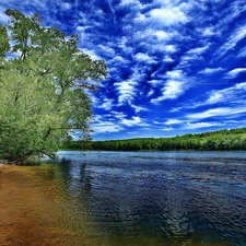 trees, high, clouds, Sky, viewes, River