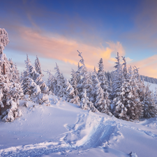 Spruces, winter, Path, clouds, snow, Snowy