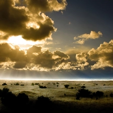 rays of the Sun, Sky, clouds