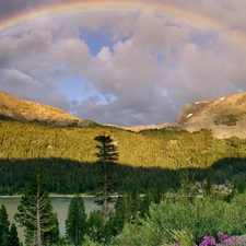 clouds, Mountains, trees, viewes, water, Great Rainbows