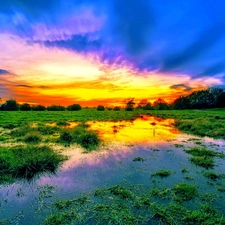 clouds, Meadow, trees, viewes, Great Sunsets, swamp