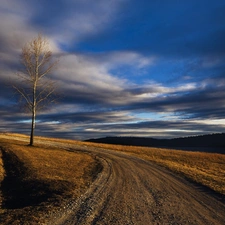 Way, trees, clouds, Meadow