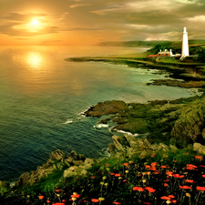 Lighthouse, west, Coast, Flowers, maritime, sun