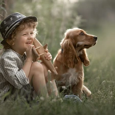 English Cocker Spaniel, boy, dog