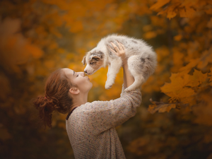 Border Collie Puppy, Women, dog