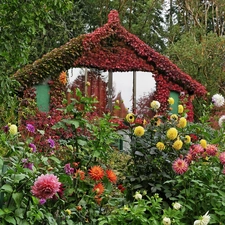cottage, Flowers, Colombia, Garden