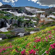 color, Flowers, rocks, Meadow, Mountains