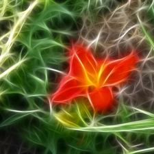 Fraktal, Red, Colourfull Flowers