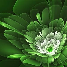 graphics, Green, Colourfull Flowers
