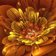 graphics, Orange, Colourfull Flowers