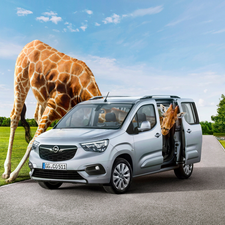 Opel Combo, giraffe, Funny, 2018