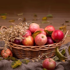 apples, Leaf, composition, basket