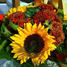 composition, Sunflower, Flowers