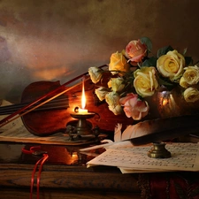 roses, violin, Tunes, composition, candle, Flowers