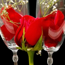 composition, rose, glasses