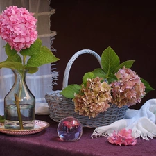 hydrangeas, composition