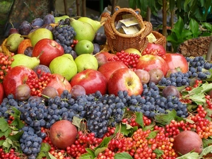 basket, harvest, truck concrete mixer, grape, apples
