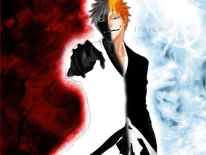 contrast, Ichigo, bleach