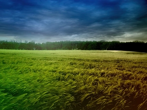 corn, breath, clouds