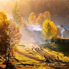 autumn, country