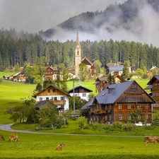 Houses, Cows, Gosau, village, Austria