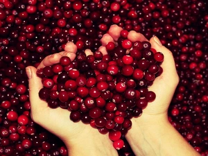 cranberry, Heart, hands