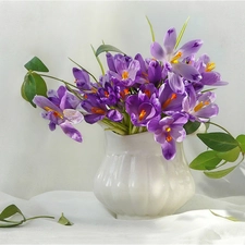 crocuses, jug, purple