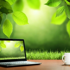 trees, Meadow, cup, graphics, PC, Leaf
