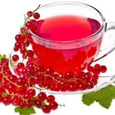 tea, red hot, currant, fruit