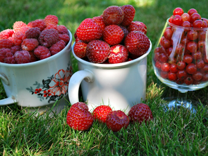 currants, raspberries, Strawberries