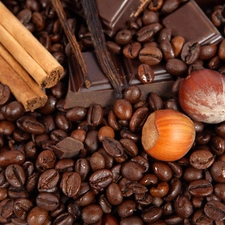 cuts, chocolate, coffee, nuts, grains