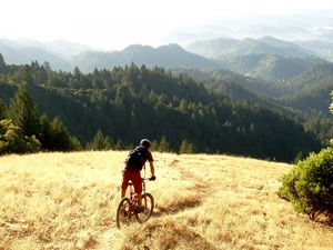 woods, Mountains, car in the meadow, Path, cyclist