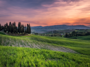 Tuscany, Italy, The Hills, green ones, viewes, Great Sunsets, cypresses, trees, field