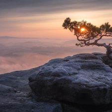 Saxony, Germany, Saxon Switzerland National Park, D???nsk? vrchovina, pine, Fog, Great Sunsets, trees, Lilienstein Mountain