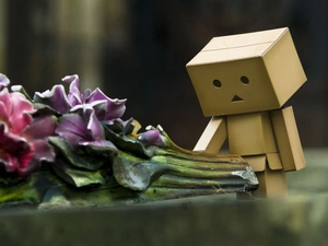 Danbo, Flowers