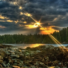 clouds, rays of the Sun, woods, dark, lake